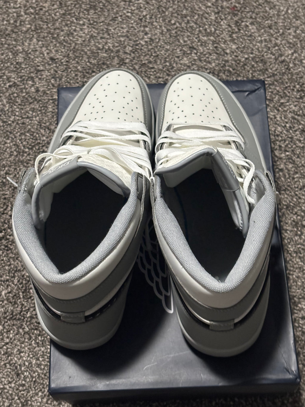 Dior x Air Jordan 1 High Grey